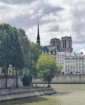 STUDIO ÎLE SAINT-LOUIS
